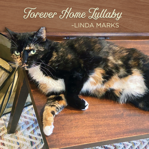 Marks_Forever Home Lullaby